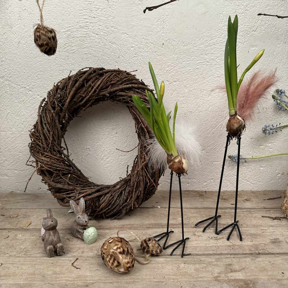 Lökfötter på påskliljelök